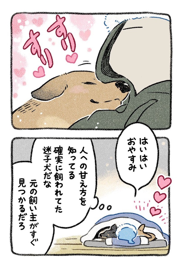 保護犬茶々のお話【第9話】(4) 