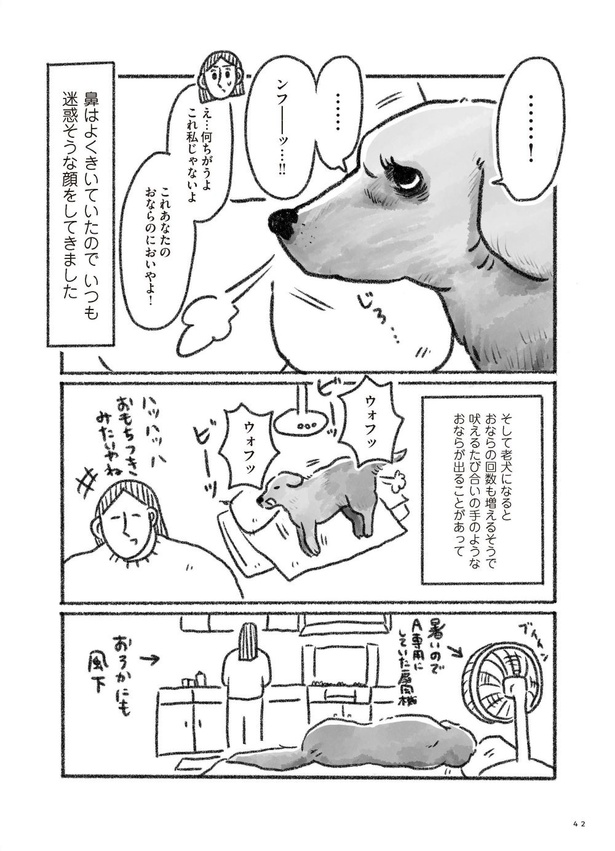 ＜画像16 37＞16歳の老犬「先が短い」と聞き、介護をするため仕事を辞めて実家へ 制作は「もういないということを受容するための大切な作業