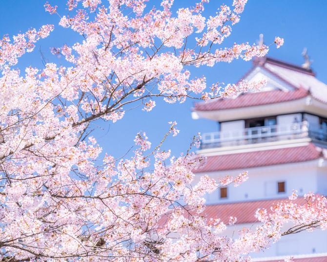 今週末(4月20日・21日)の桜の見頃はここ！東・西日本の5分咲き〜満開を迎えるお花見名所ガイド