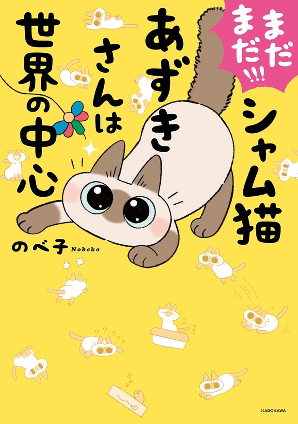 『まだまだ!!!シャム猫あずきさんは世界の中心』