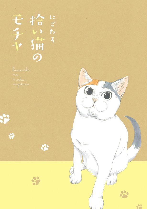 『拾い猫のモチャ』