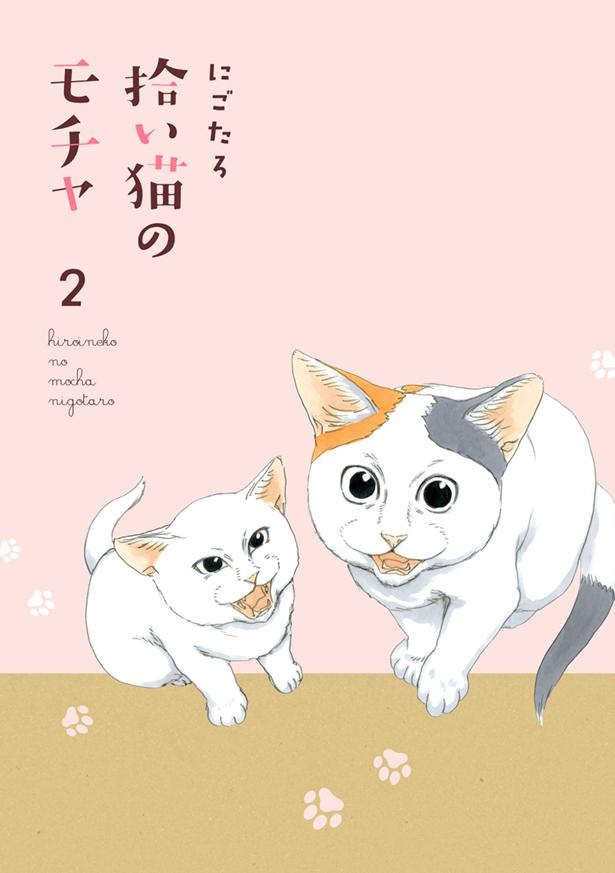 『拾い猫のモチャ2』