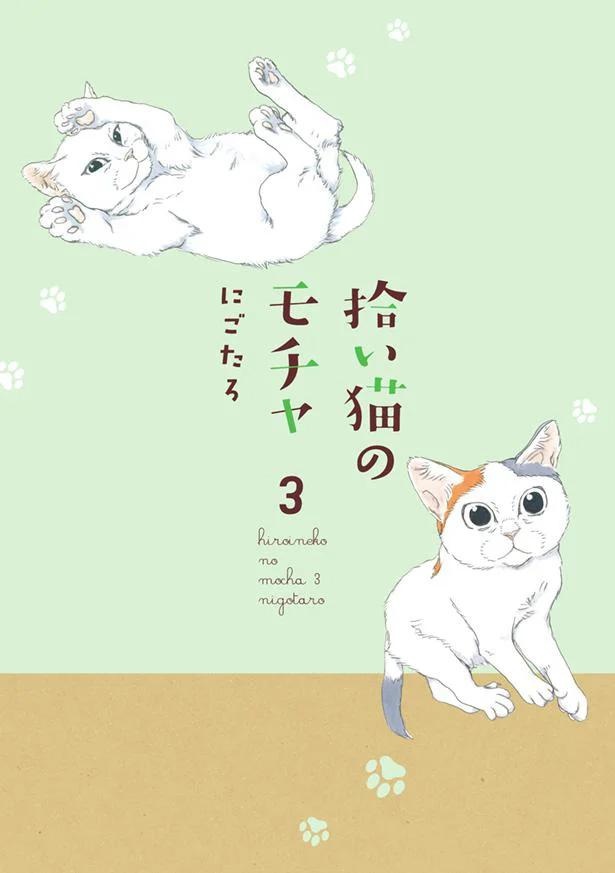 『拾い猫のモチャ3』