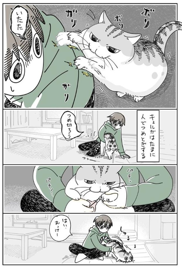 「つめをとぎにくるネコ」02