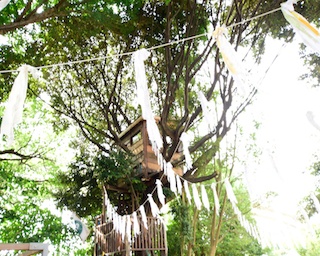 千葉市初！ツリーハウスの森カフェ「椿森コムナ」