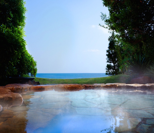【写真を見る】「ルネッサンス リゾート ナルト」は天然温泉も一押し！