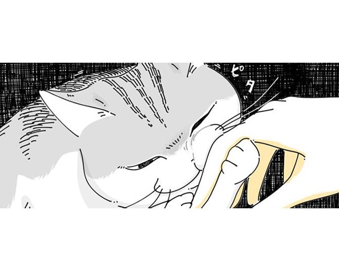 【ネコ漫画】飼い主の指に頬をピタリとくっつけて噛むのをやめる愛猫!?その憎めない仕草にSNSでも反響！