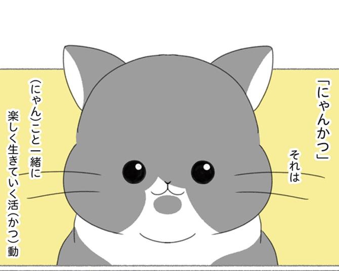 11匹の保護猫と暮らすユーチューバーの日常を漫画に。「かわいさだけでなく、悲しい実情も届けたい」