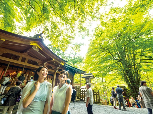 画像6 18 京都観光 水の神様に涼をもらう せせらぎと緑に暑さを忘れる 貴船神社 ウォーカープラス