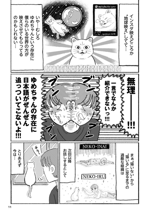 第1話 猫いないからの猫いる(8)