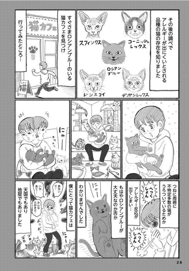 第3話 猫アレルギーなんて信じたくない信じない！(4) 画像提供：「描描猫猫 猫アレルギーだけど猫飼いたすぎ物語」(C)猫飼太陽／KADOKAWA