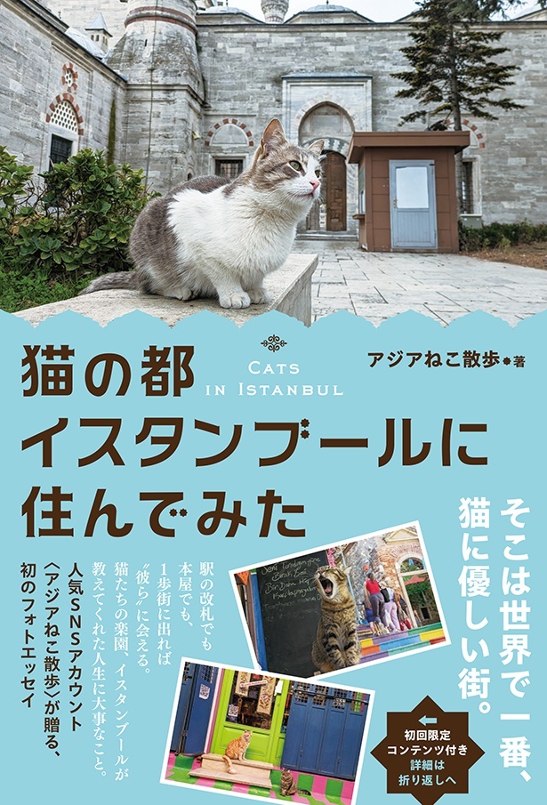 猫の都イスタンブールに住んでみた」“猫の楽園”と呼ばれる街、トルコ・イスタンブールに移住した著者がつづるフォトエッセイの魅力とは？｜ウォーカープラス