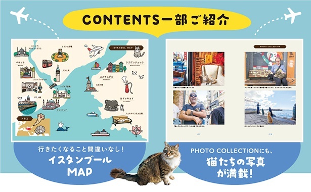 猫たちの写真のほか、イスタンブールMAPも収録