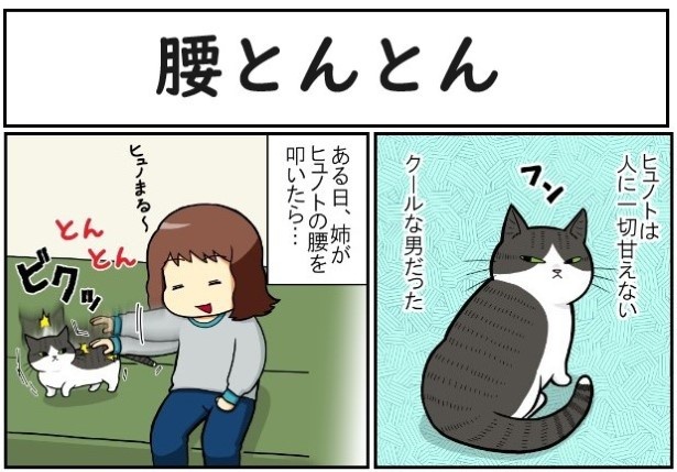 ネコ漫画】「カ・イ・カ・ン…!!」猫が溺れた快楽とは!?ツンな猫もデレになる“お尻とんとん”【コツを聞く】｜ウォーカープラス