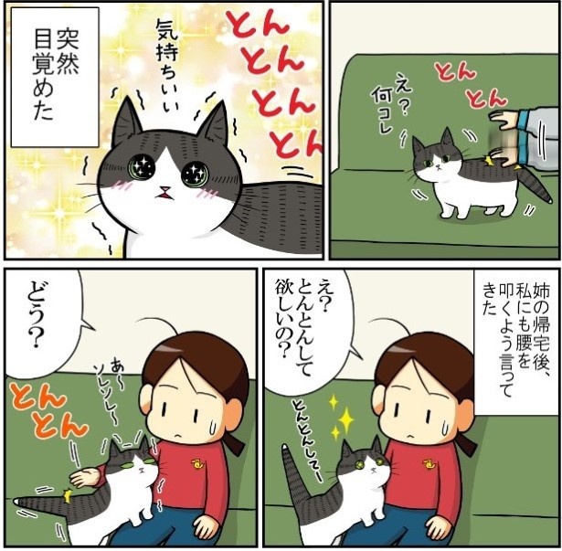 ネコ漫画】「カ・イ・カ・ン…!!」猫が溺れた快楽とは!?ツンな猫もデレになる“お尻とんとん”【コツを聞く】＜画像3 /  11＞｜ワンコとニャンコWalker