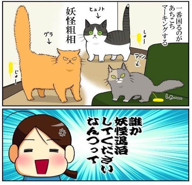 うちの猫妖怪たち02