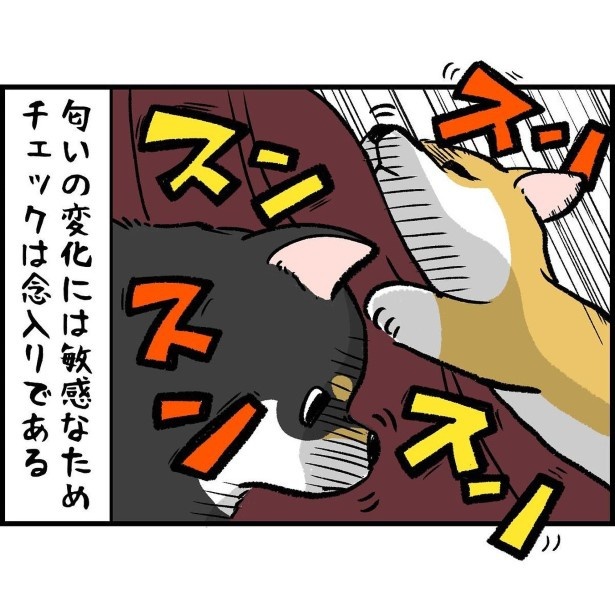 犬にファッションチェックをされると大体こうなる_6