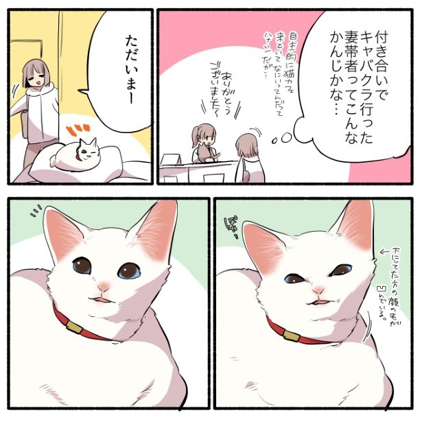 飼い猫がいるのに猫カフェに行った話_P06