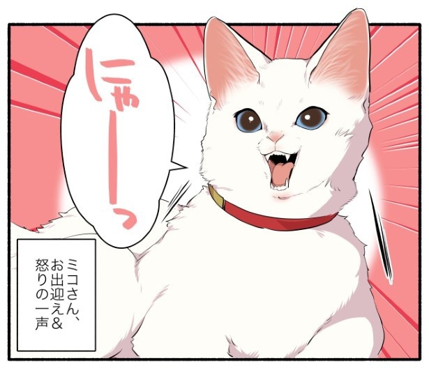 飼い猫がいるのに猫カフェに行った話_P07