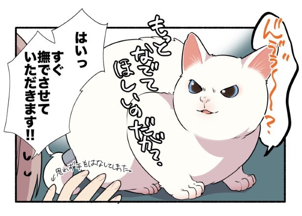 猫の血圧を測ったら予想外のことがわかった話_P09