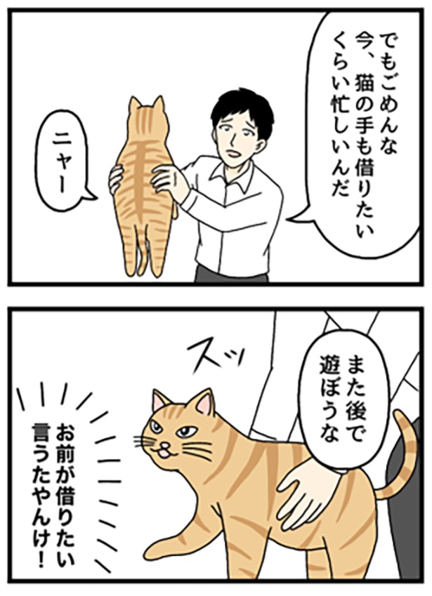 猫の手も借りたい1-2