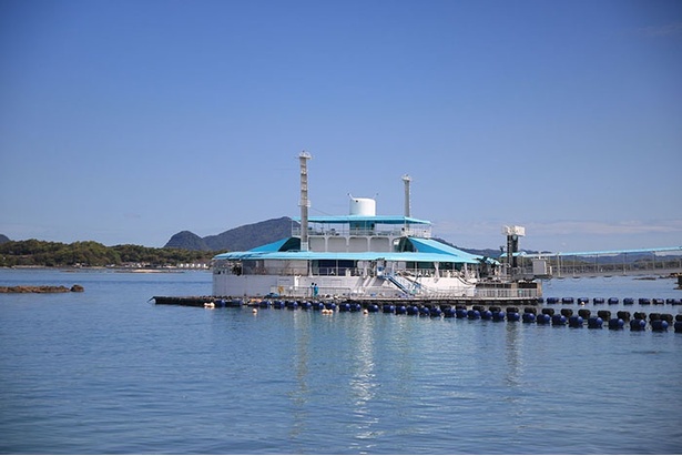 海に浮かぶ円形ドーナツ型の水族館
