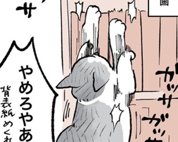 「こねこのドレイ」9より