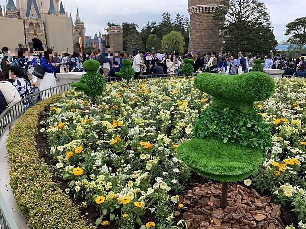 パーク内の植栽にも注目