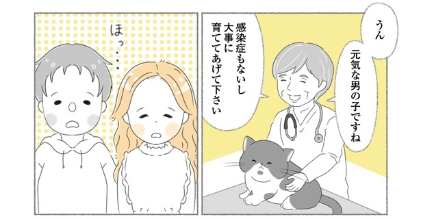 漫画「にゃんかつ」より