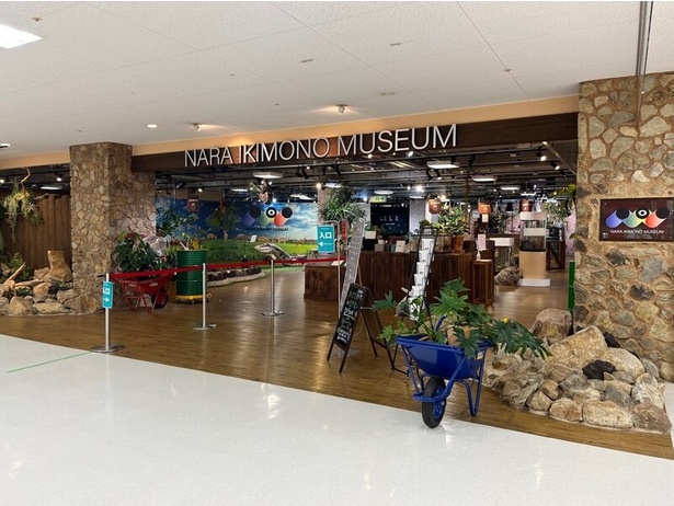 魚類、両生類など、さまざまないきものを展示している 