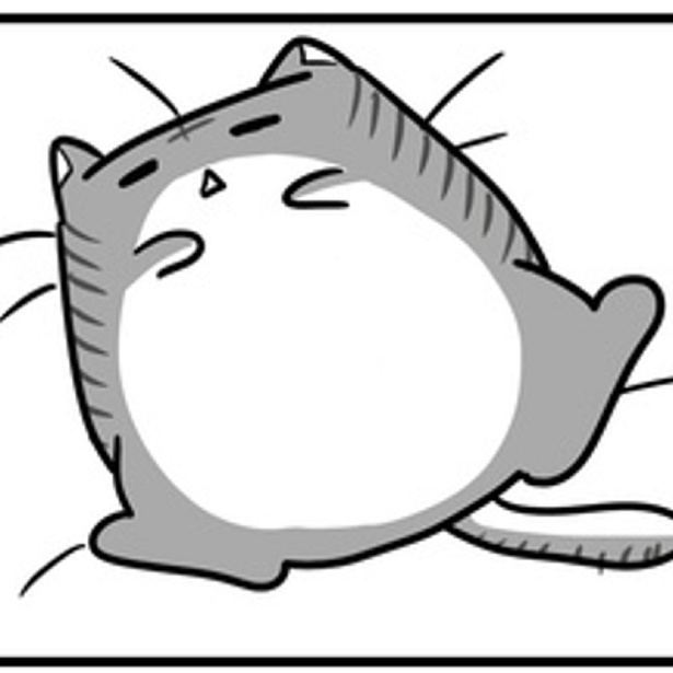 愛猫との生活