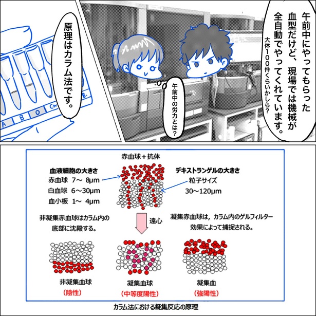 「リンケンっ　東京大学医学部付属病院実習録」11-2
