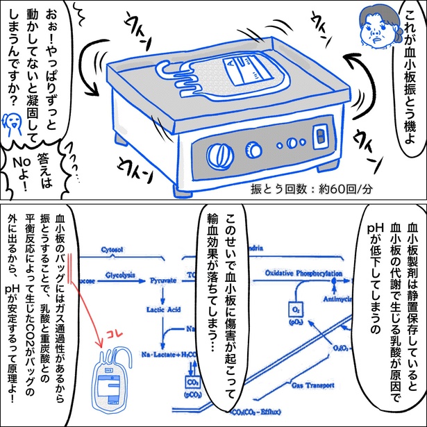 「リンケンっ　東京大学医学部付属病院実習録」12-5