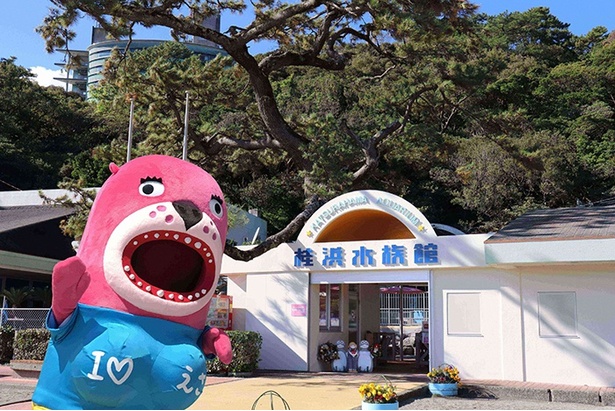 桂浜観光のシンボル的存在 