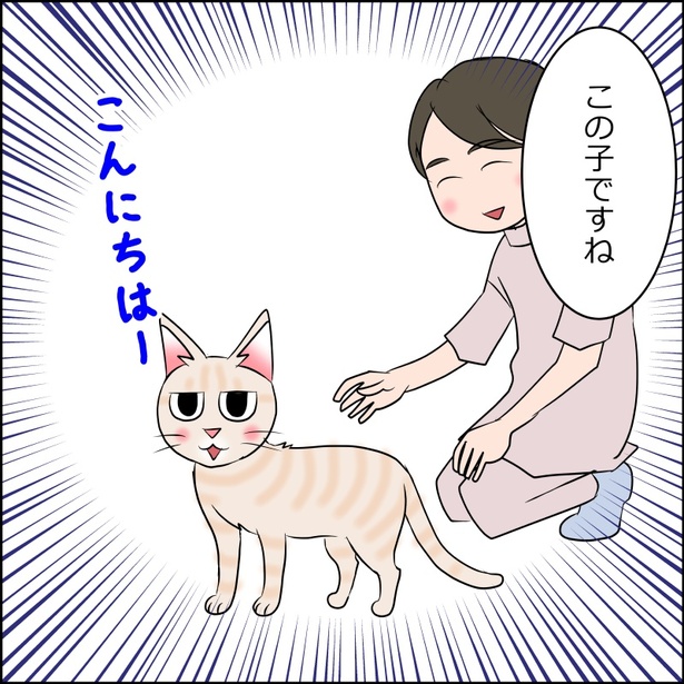 猫が来た日麦編8-1