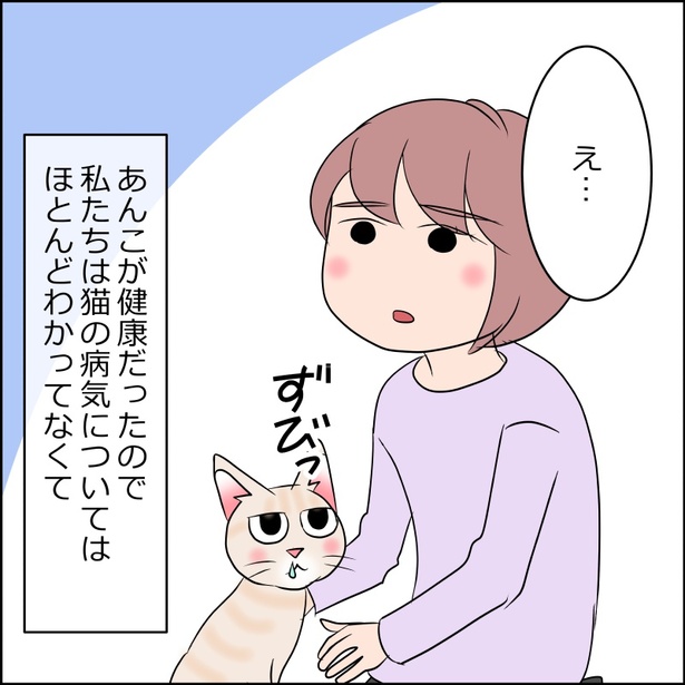 猫が来た日麦編10-1