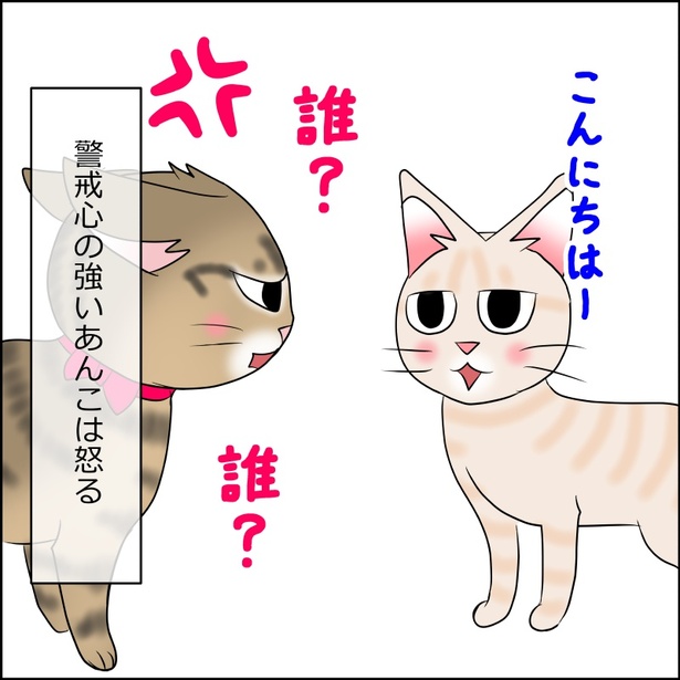 猫が来た日麦編15-1