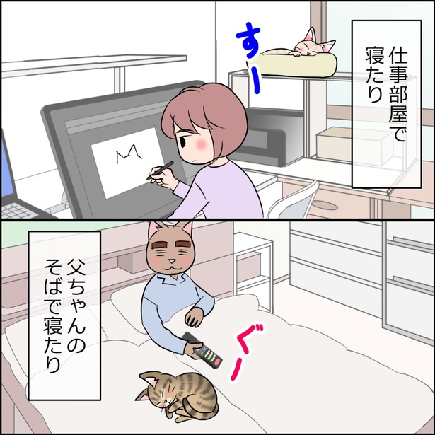 あんこ＆麦2094 猫の暮らし 01