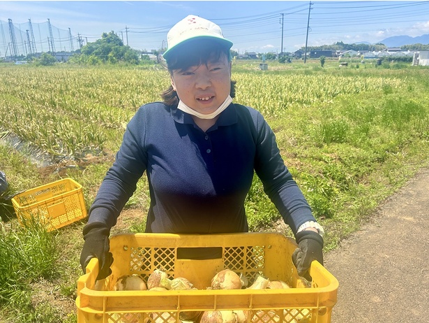 東員町の「シグマファームとういん」では、玉ねぎ・ぶどう・三重県特産のなばな、マスタードシード等を栽倍