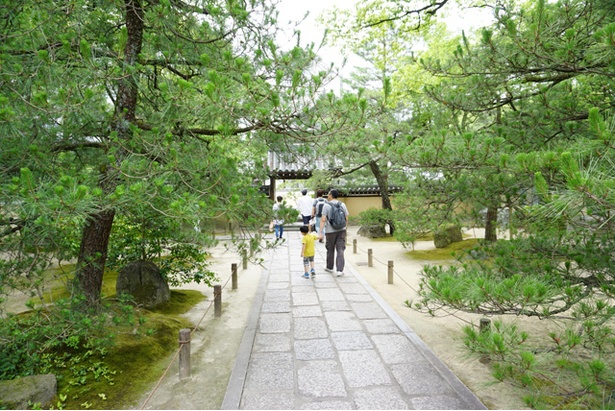 日本庭園を思わせる境内だけに、海外からの観光客の参拝も多い
