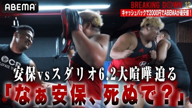 全試合生中継が決定した格闘イベント「BreakingDown12」