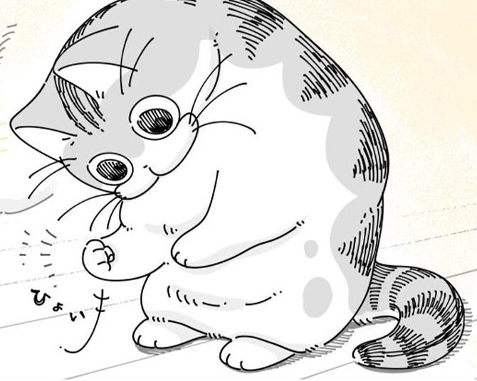 【ネコ漫画】愛猫の何気ない行動がかわいすぎる!?「心がなごむ」「わかります」などSNSで10万いいね！