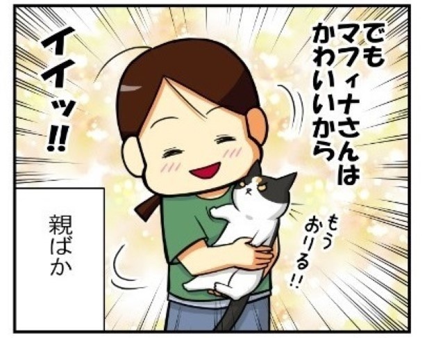 我が家の猫チャレンジ_05