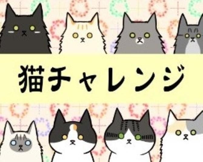 【ネコ漫画】SNSで話題となった「猫壁チャレンジ」に挑戦！壁を手で突っ張る猫は賢い…!?【作者に聞く】