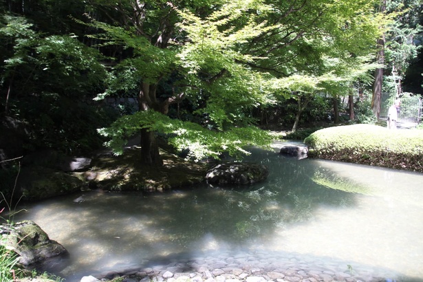 裏庭には池が。自然あふれる環境でウイスキーがつくられている