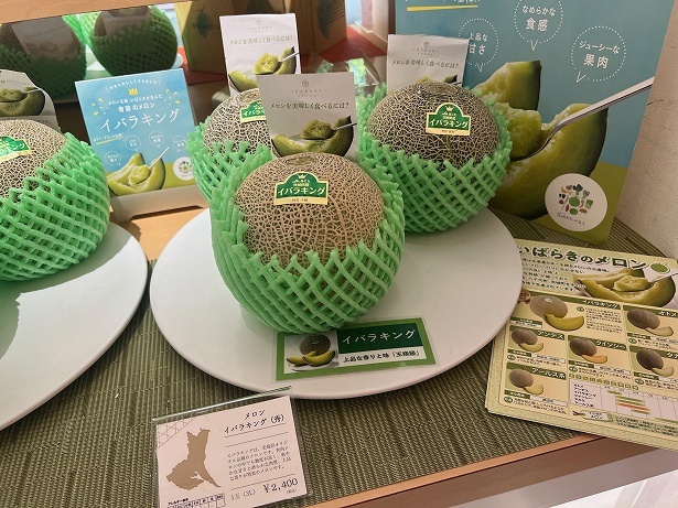 茨城県では13種類以上のメロンを生産