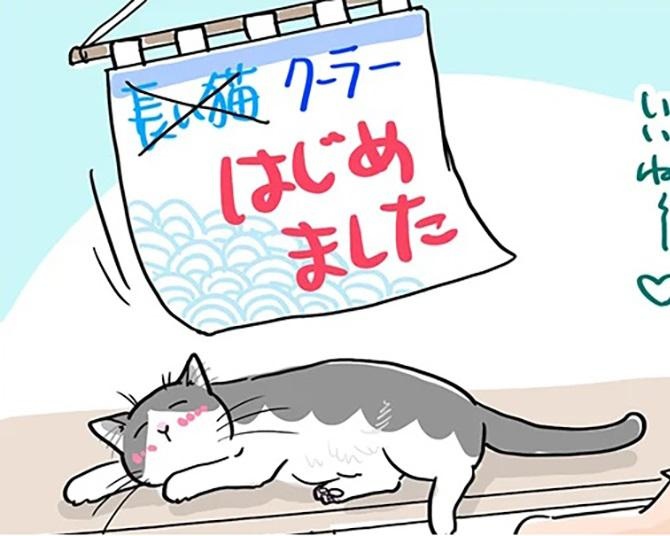 「長い猫、はじめました」夏至のころからだんだんと…暑くなると見られる珍景とは？【作者に聞いた】