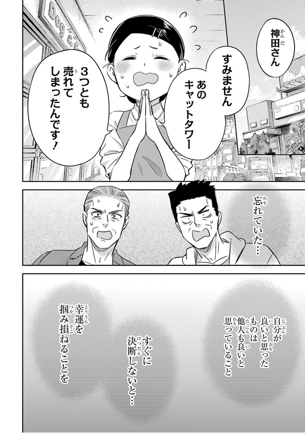 おじさまがキャットタワーを買う話21