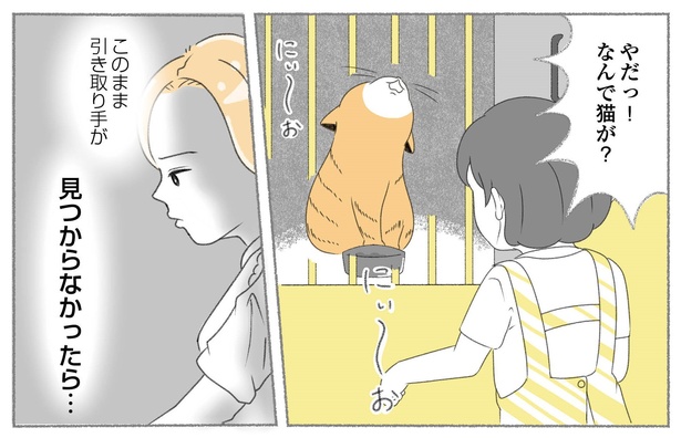 漫画「にゃんかつ」より