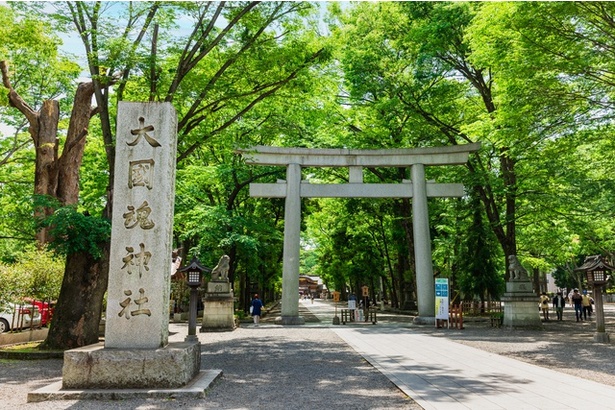 「馬場大門のケヤキ並木」は「大國魂神社」へ続いている